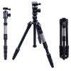 Rollei fotopro C5-i állvány + monopod + gömbfej + bélelt táska fekete